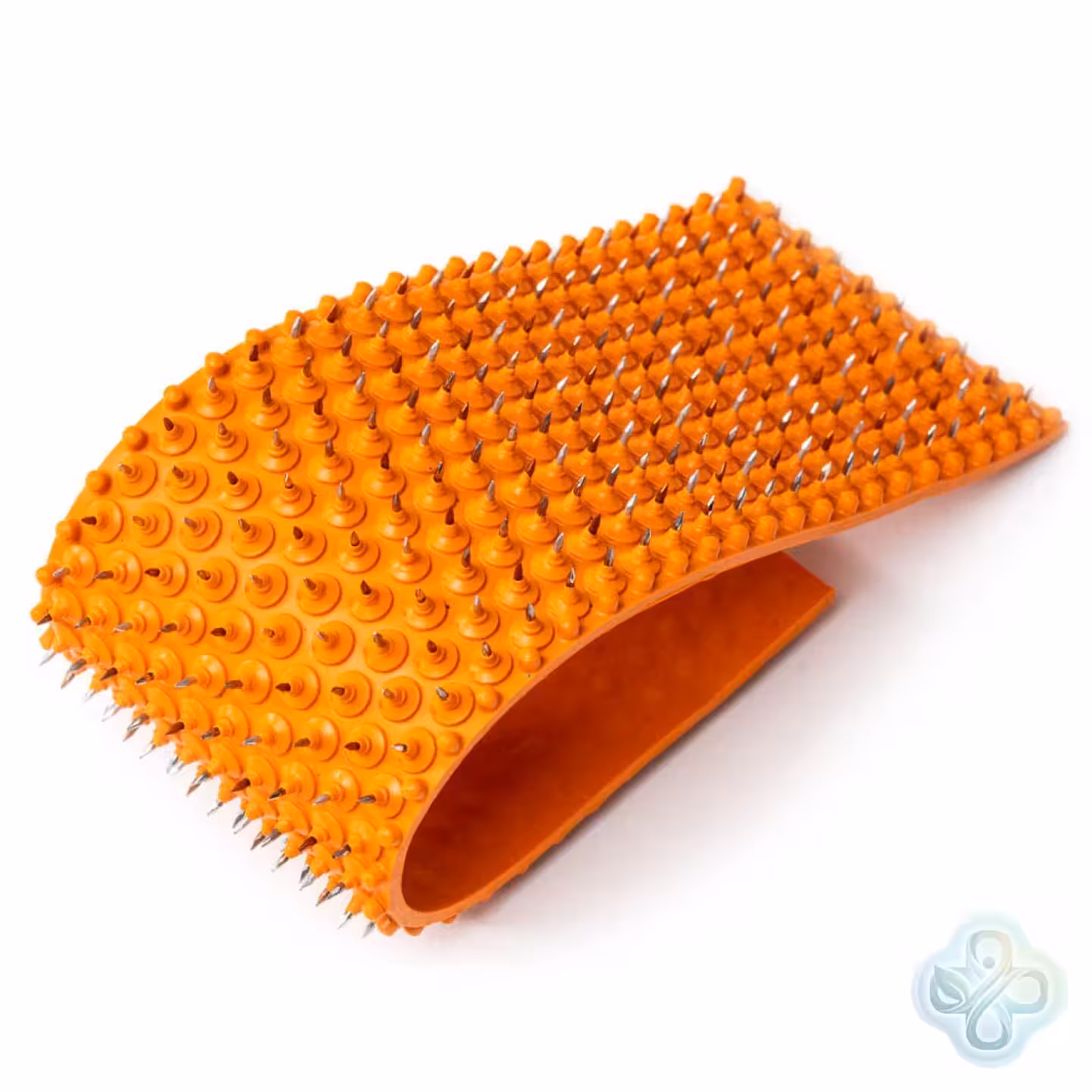 orange-1440×1440.jpg